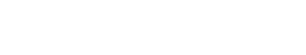 Anglian Internet Logo