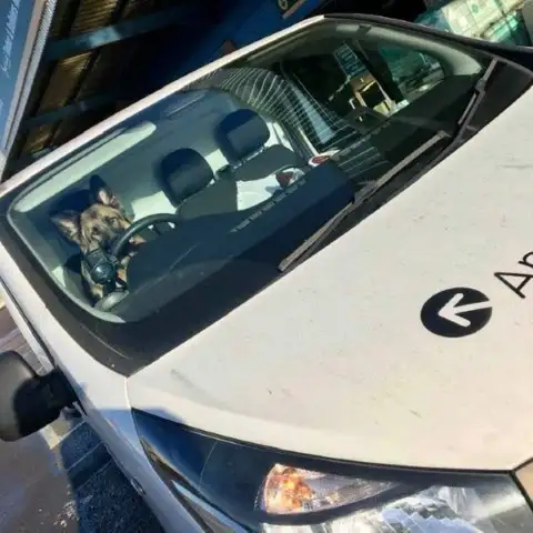 Petra the Office Dog by the Van